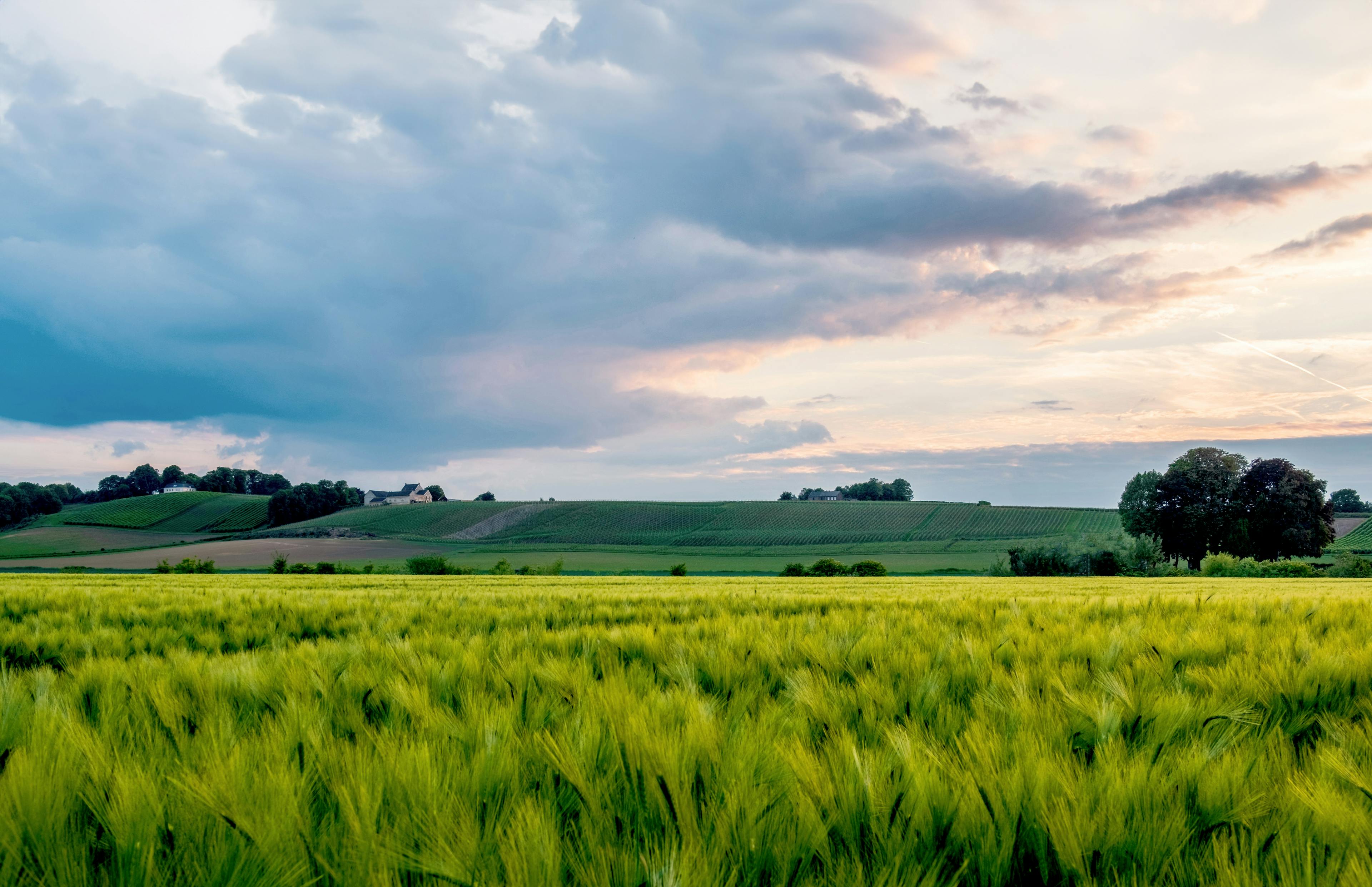 sfeer afbeelding limburg